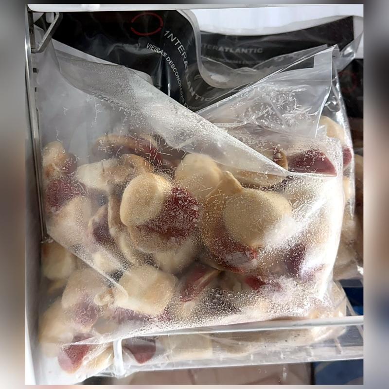 Vieira Desconchada com Coral · 20-40 · 1 kg